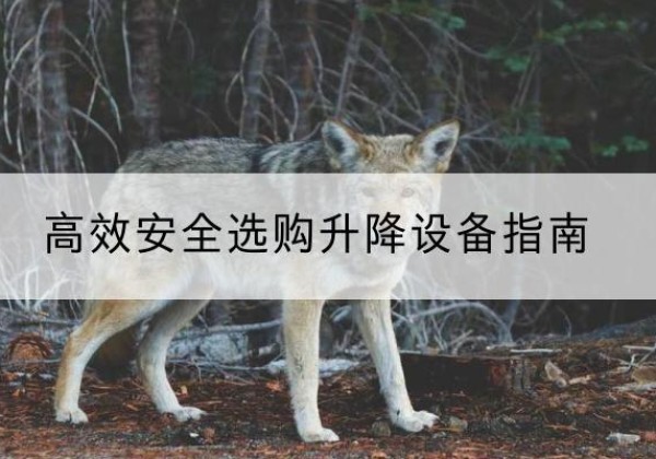 卓资升降货梯厂家推荐-*安全选购升降设备指南