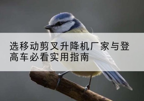 卓资电动升降机厂家-选移动剪叉升降机厂家与登高车必看实用指南